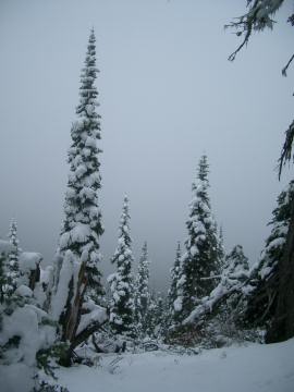 Hurricane Ridge