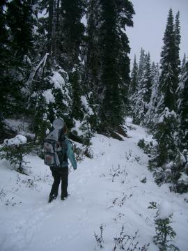 Mom LOVES crunching through snow :)