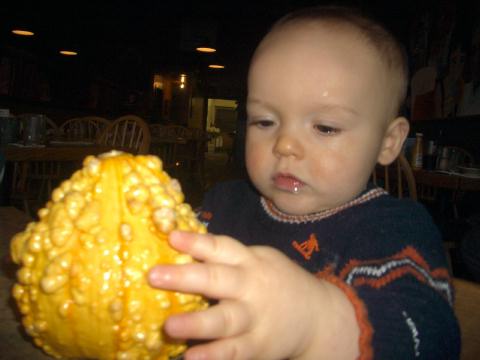 I wonder if I can chomp the whole thing?
