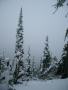 Hurricane Ridge