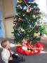 nice tree at the yacht club christmas party