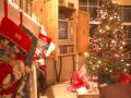 and the tree before Santa put out all the presents :)