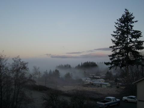 morning view from sam's deck