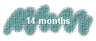 14 months