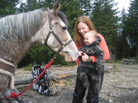 meeting a nice horse - Cinnamon