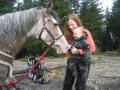 meeting a nice horse - Cinnamon
