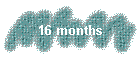 16 months
