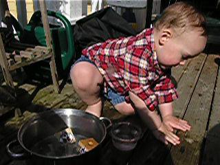 Sammy playing in the water on the deck!