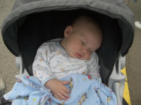 Waiting for mommy!