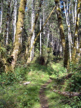 Guillemot Preserve