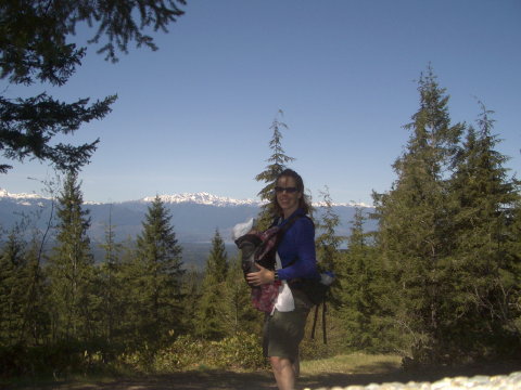 Green Mt view
