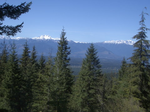 Olympic Mtn view