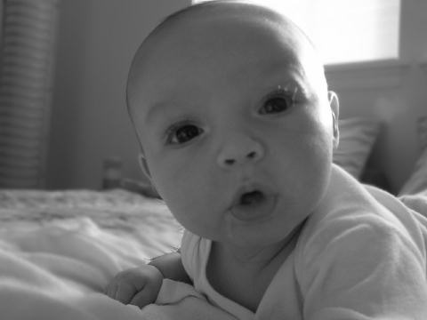 what did you say?