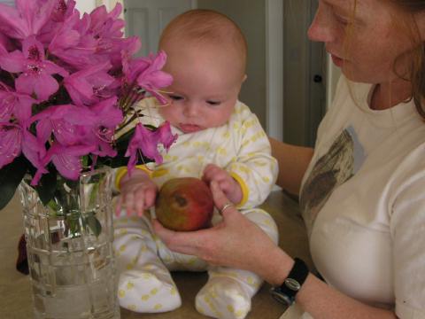 flowers and fruit