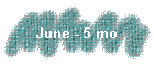 June - 5 mo