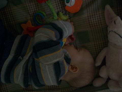 Somebody so tired he fell asleep in his playard!