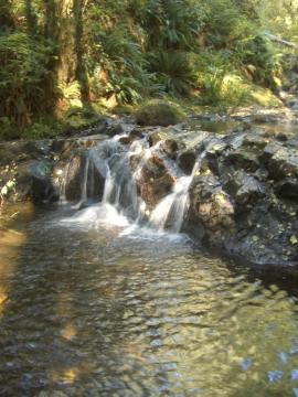 waterfalls on our Green Mt hike