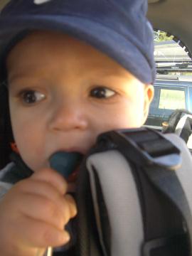 his fav new teething toy - mom's platypus water bladder