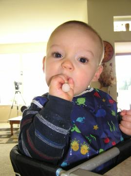 first big boy bites!