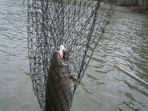 Behind the scenes look at fishing...you may want to go quickly if you're squeamish...