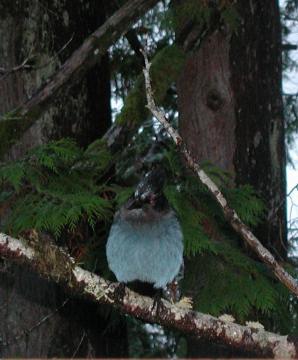 DougPics (29)