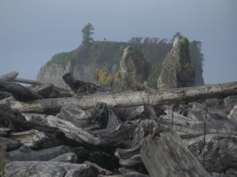 Distinctive Pacific NW coast.  So many great shots!