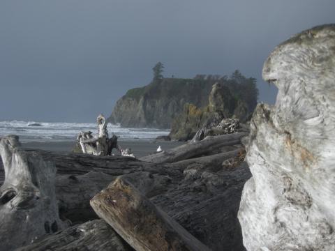 DaveShotsRubyBeach (5)