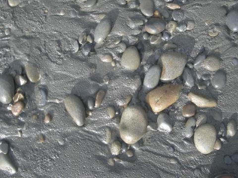DaveShotsRubyBeach (13)