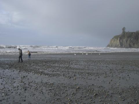 DaveShotsRubyBeach (18)