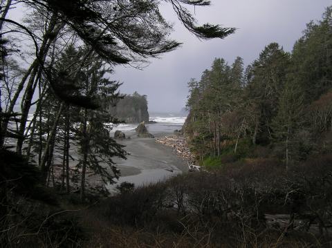 OliShotsRubyBeach (66)