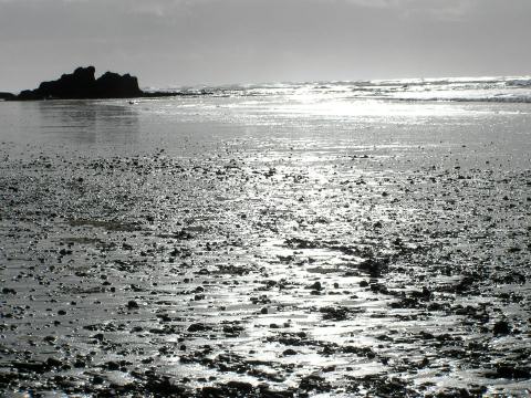 OliShotsRubyBeach (74)