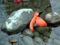 Salmon eggs.
