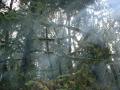 BillKrugPics (38)