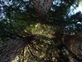 BillKrugPics (47)