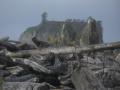 Distinctive Pacific NW coast.  So many great shots!