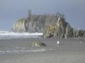 DaveShotsRubyBeach (10)