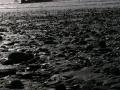 OliShotsRubyBeach (73)