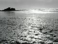 OliShotsRubyBeach (74)