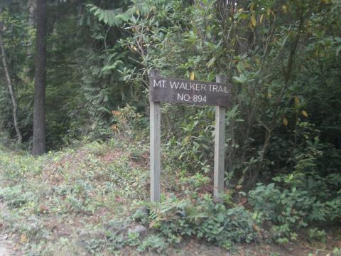 another hike - Mt Walker