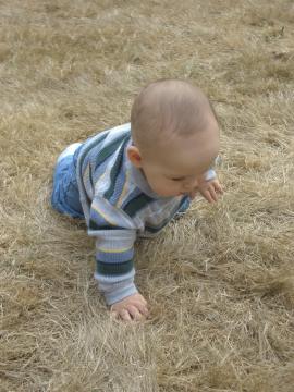 fun to crawl on!