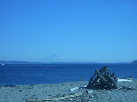 That's Seattle and Mt Rainier in the distance.  It's huge!
