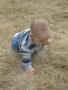 fun to crawl on!