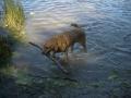 that means a swim is in order!